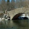 Feb 2007, Gapstow Bridge, Central Park