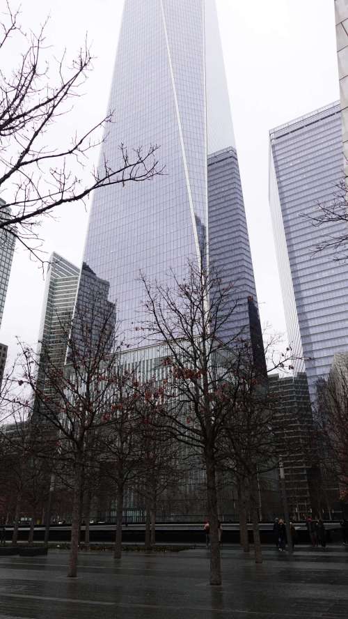 2025-01-31_09-09-09_RX101399