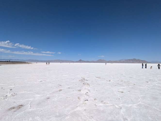 2025-08-17_11-51-41_CELLC_PXL_20250817_175141910