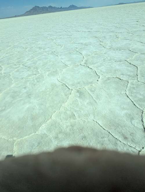 2025-08-17_11-54-43_CELLC_PXL_20250817_175443204