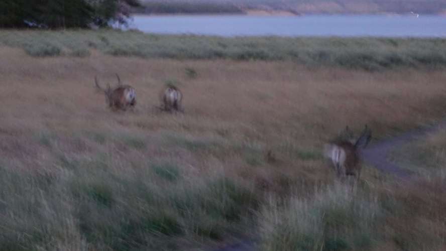2025-08-20_20-45-45_RX103802