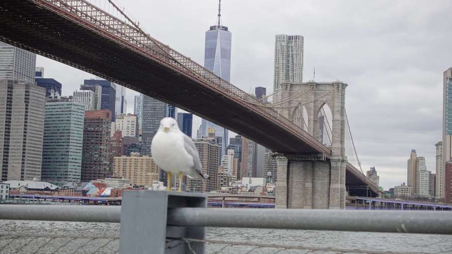 2026-02-21_12-11-08_RX105126