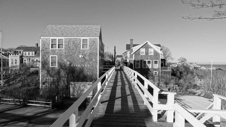 2026-02-27_15-19-37_RX105575