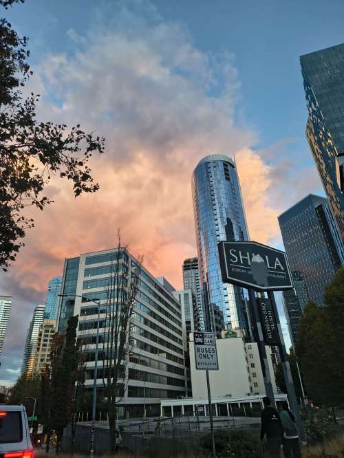 2026-09-05_19-35-09_CELLN_IMG_20260905_193509068_HDR