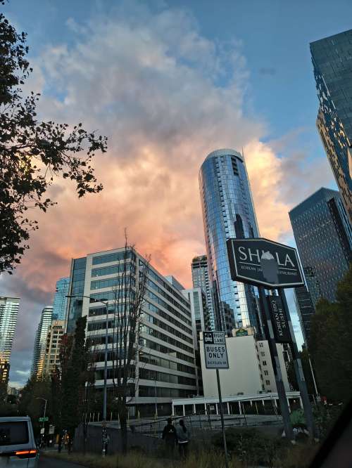 2026-09-05_19-35-14_CELLN_IMG_20260905_193514011_HDR