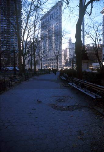 Ny02-19