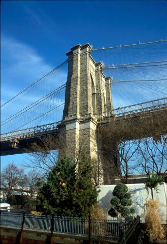 Ny04-19