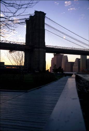 Ny05-35