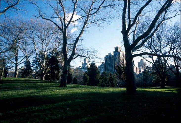 Ny07-10