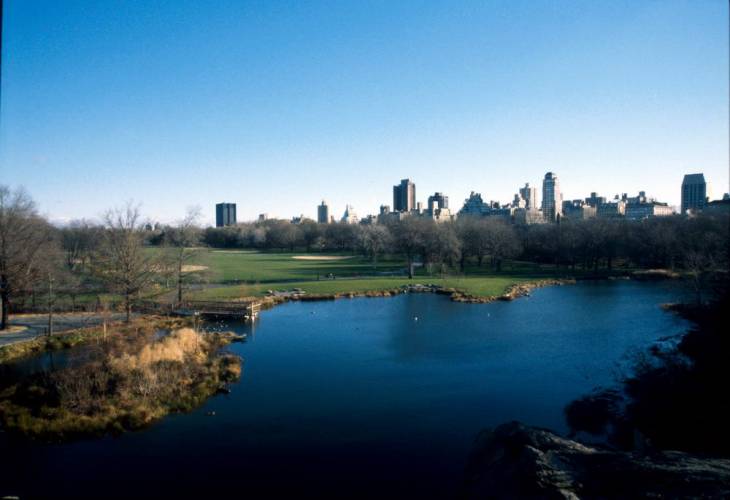 Ny07-14