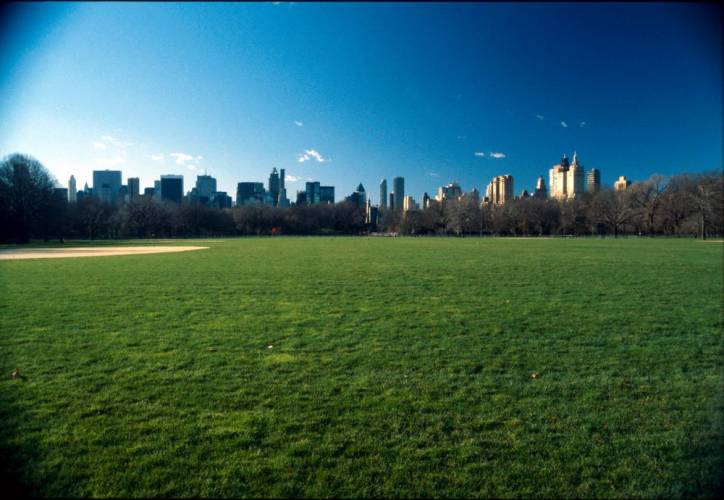 Ny07-16