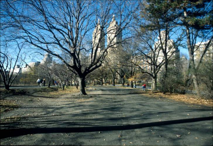 Ny07-23