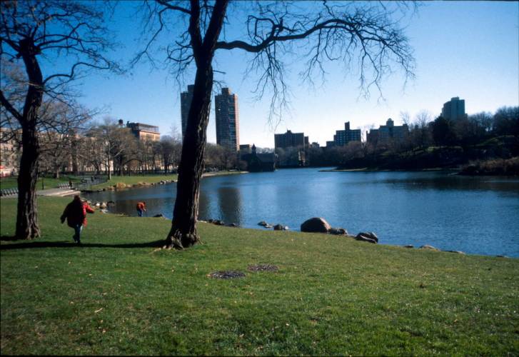 Ny07-33