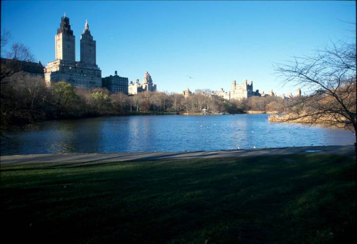 Ny08-11