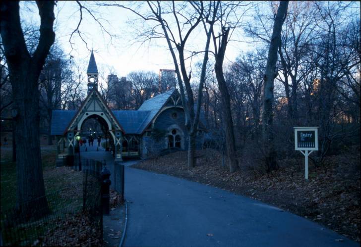 Ny08-20