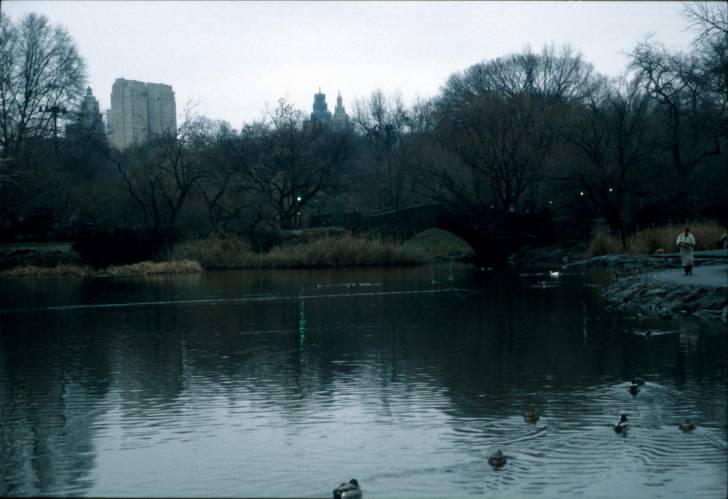 Ny09-33