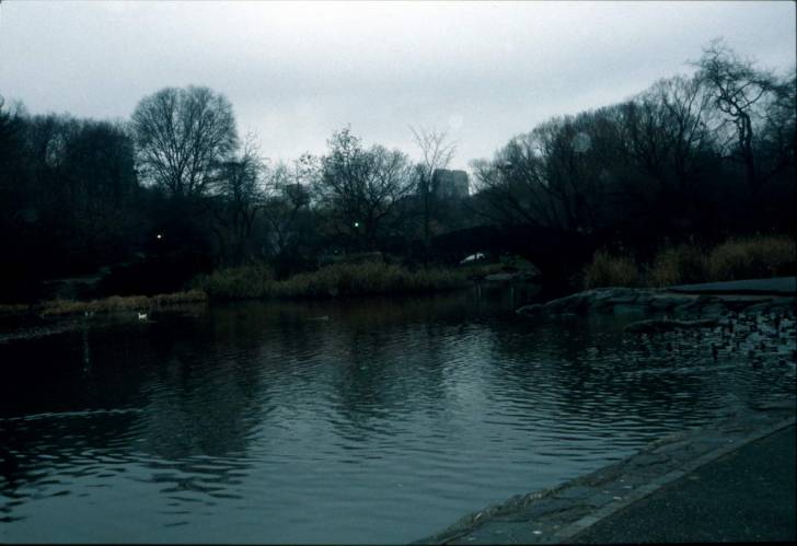 Ny09-34