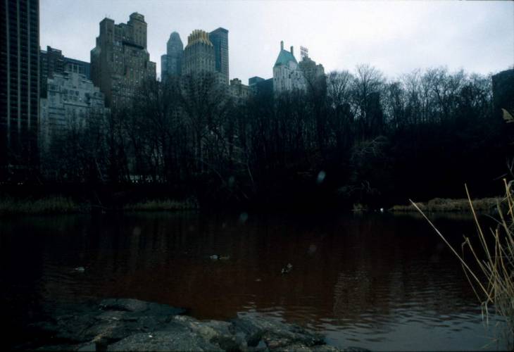 Ny09-35