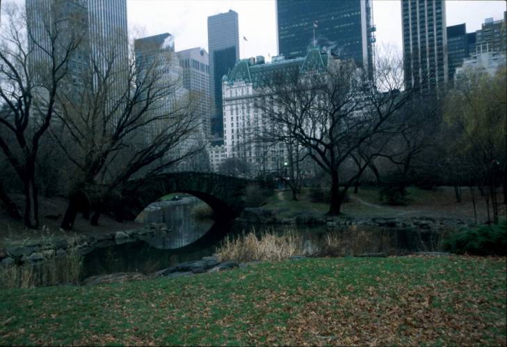 Ny10-03