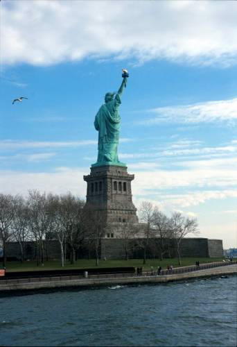 Ny11-02