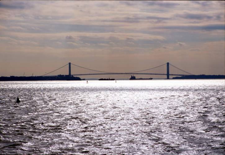 Ny11-03