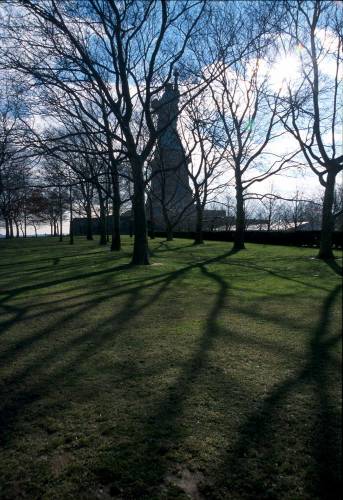 Ny11-06