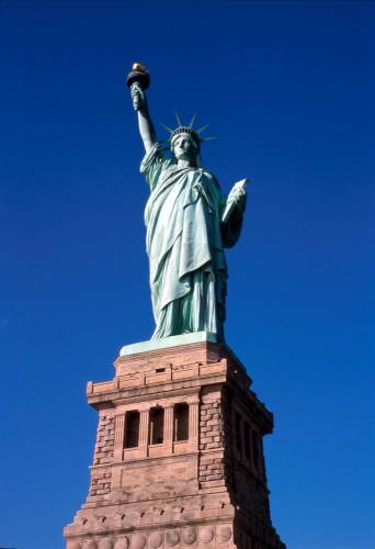 Ny11-14