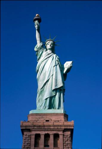 Ny11-15