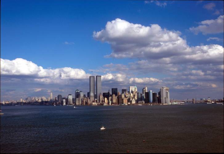 Ny11-24