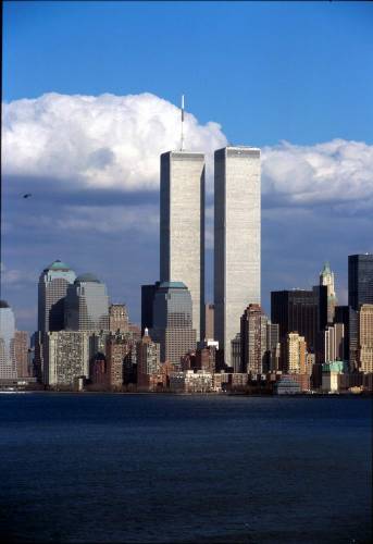 Ny11-26