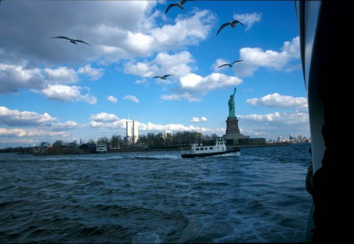 Ny11-30