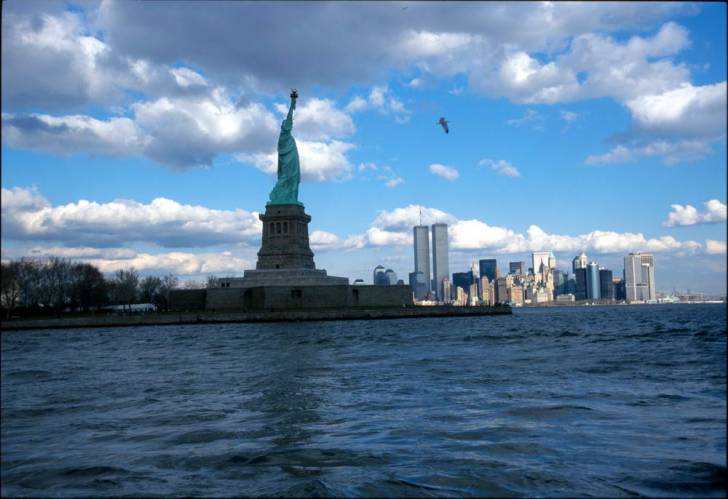 Ny11-31