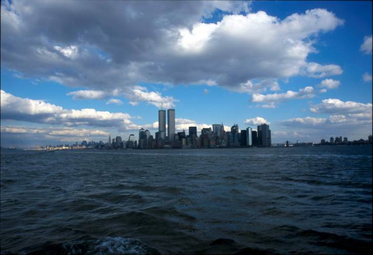Ny11-33
