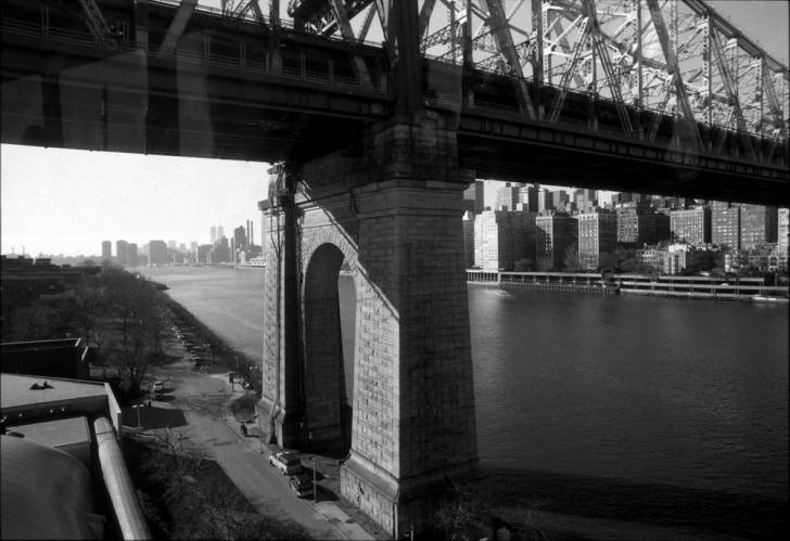 Ny12-21