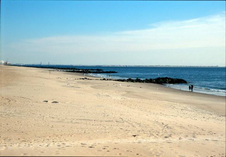 Ny14-03