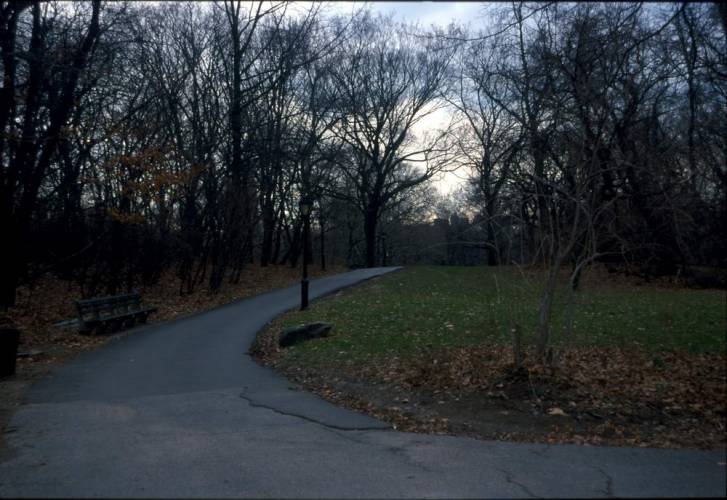Ny15-06