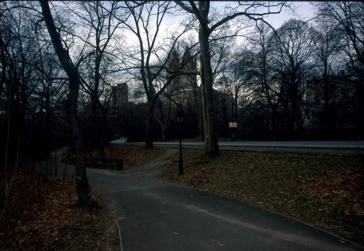 Ny15-07