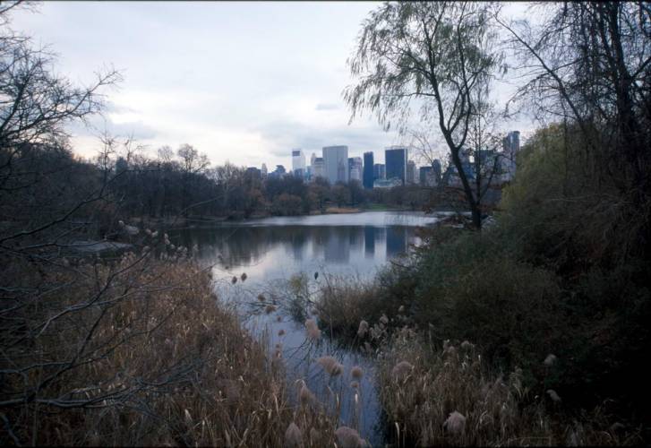 Ny15-08