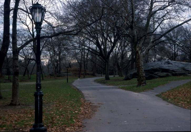Ny15-10
