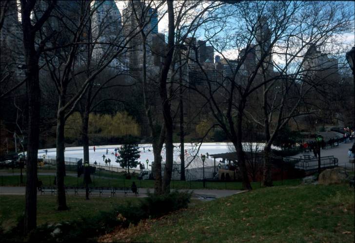 Ny15-18