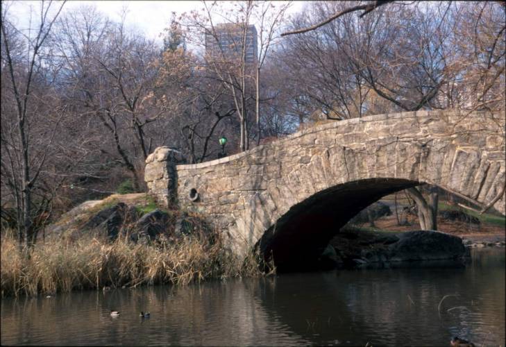 Ny15-21