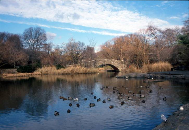 Ny15-23