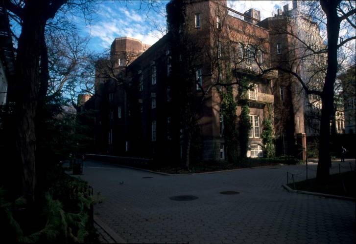 Ny15-25