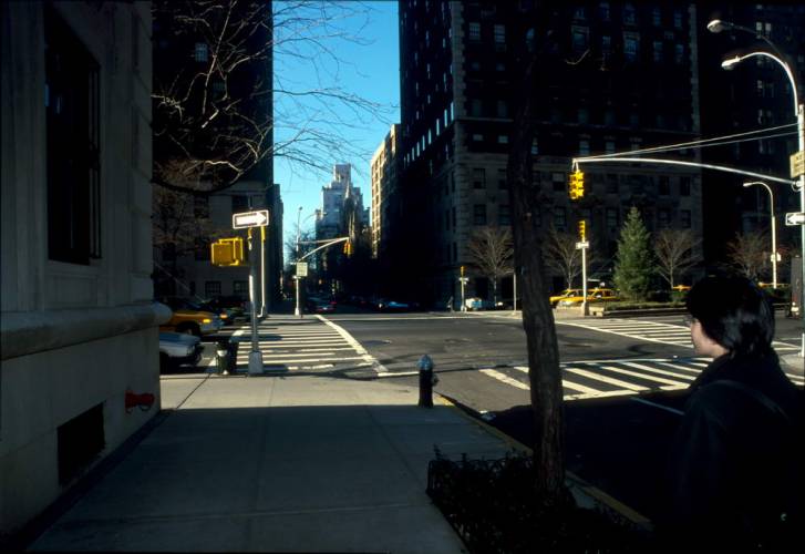 Ny15-29