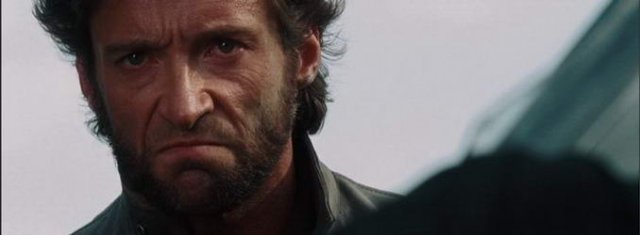 Wolverine