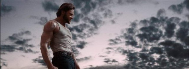 Wolverine